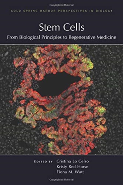 Stem Cells: From Biological Principles to Regenerative Medicine, Hardback Book