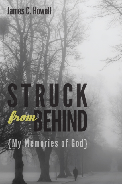 Struck from Behind : My Memories of God, EPUB eBook