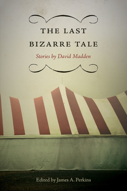 The Last Bizarre Tale : Stories by David Madden, Paperback / softback Book