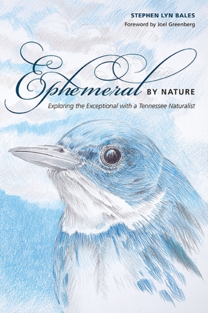 Ephemeral by Nature : Exploring the Exceptional with a Tennessee Naturalist, Paperback / softback Book