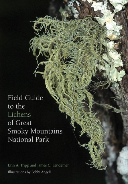 Field Guide to the Lichens of Great Smoky Mountains National Park, Paperback / softback Book