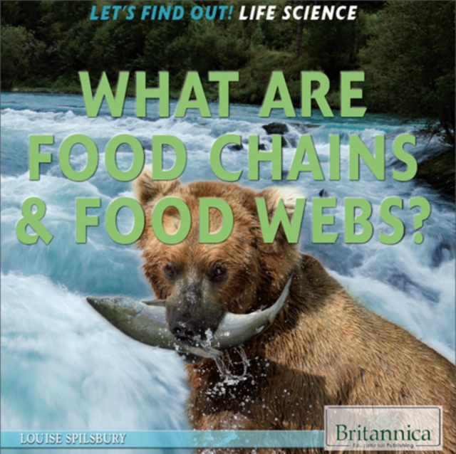 What Are Food Chains & Food Webs?, PDF eBook