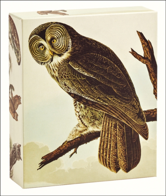 Audubon Owls QuickNotes, Cards Book