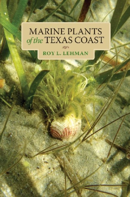 Marine Plants of the Texas Coast , Paperback / softback Book