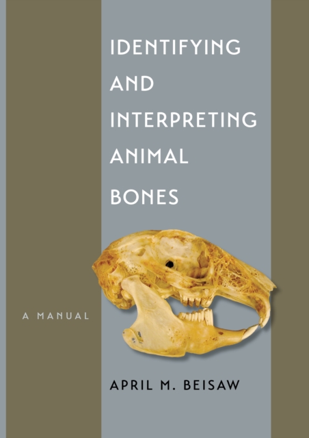 Identifying and Interpreting Animal Bones : A Manual, EPUB eBook
