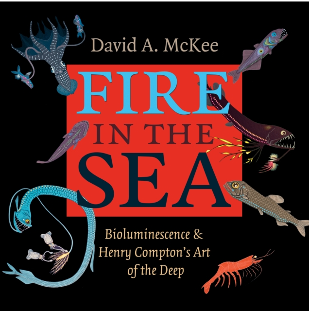 Fire in the Sea : Bioluminescence and Henry Compton's Art of the Deep, EPUB eBook