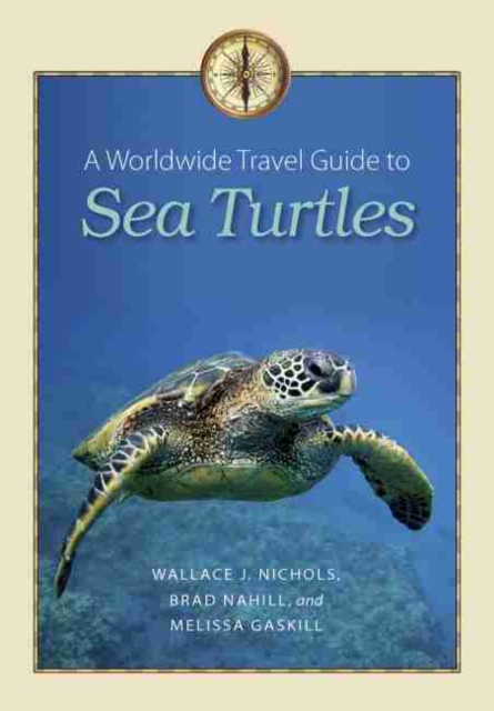 A Worldwide Travel Guide to Sea Turtles , Paperback / softback Book