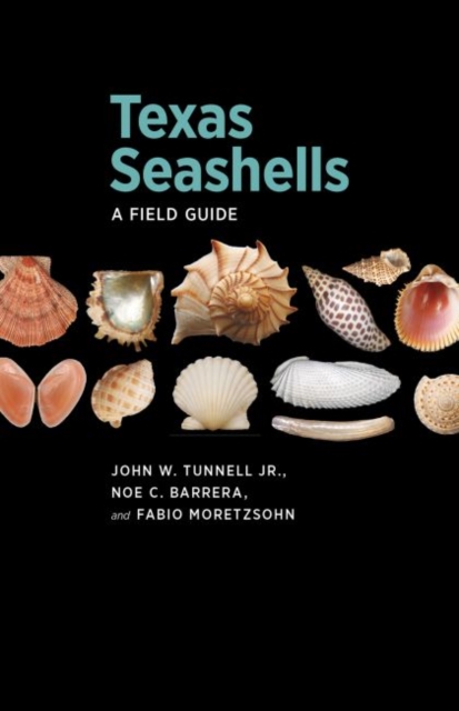 Texas Seashells : A Field Guide, Paperback / softback Book