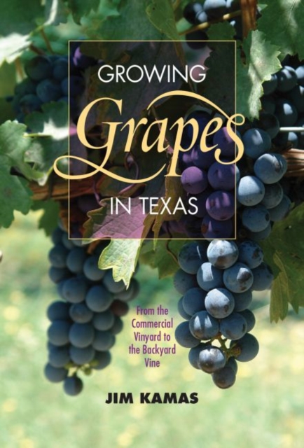 Growing Grapes in Texas : From the Commercial Vineyard to the Backyard Vine , Paperback / softback Book