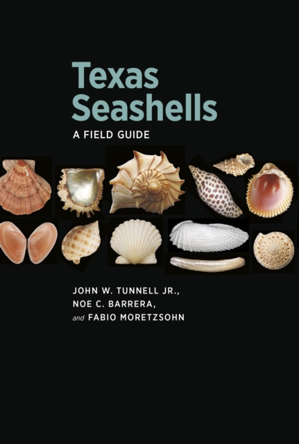 Texas Seashells : A Field Guide, EPUB eBook