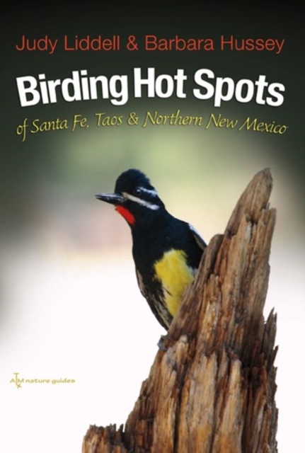 Birding Hotspots of Santa Fe, Taos, and Northern New Mexico, Paperback / softback Book