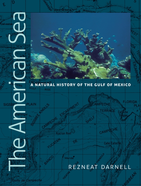 The American Sea : A Natural History of the Gulf of Mexico, EPUB eBook