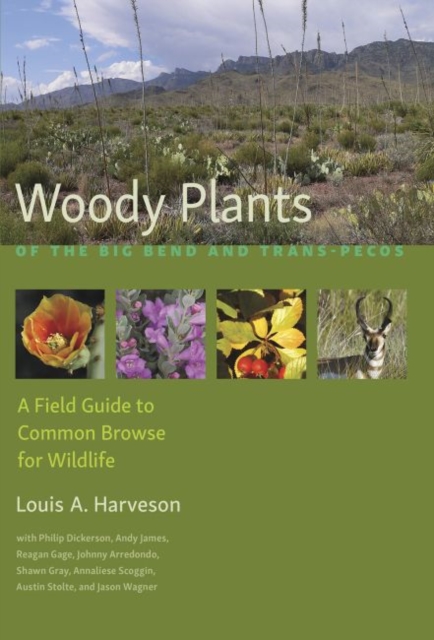 Woody Plants of the Big Bendand Trans-Pecos : A Field Guide to Common Browse for Wildlife, Paperback / softback Book