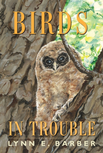 Birds in Trouble, Paperback / softback Book