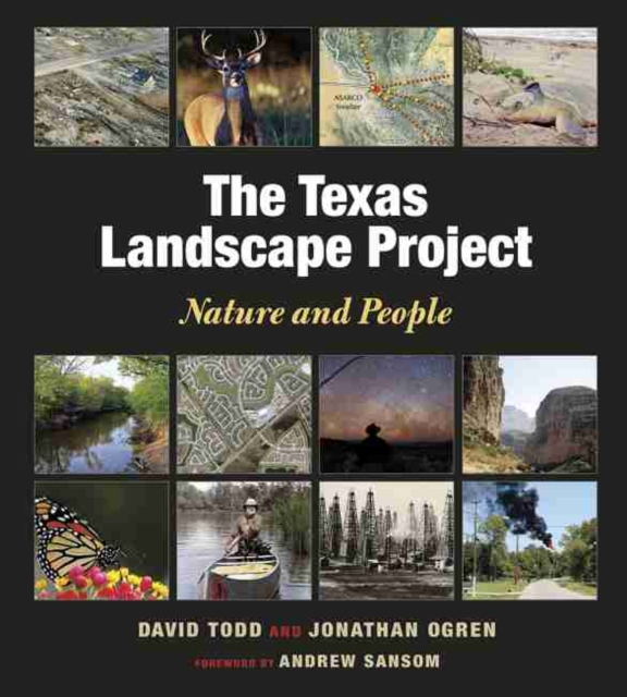 The Texas Landscape Project Nature and People, Paperback / softback Book
