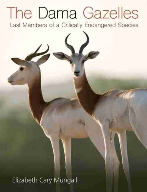 The Dama Gazelles : Last Members of a Critically Endangered Species, Hardback Book