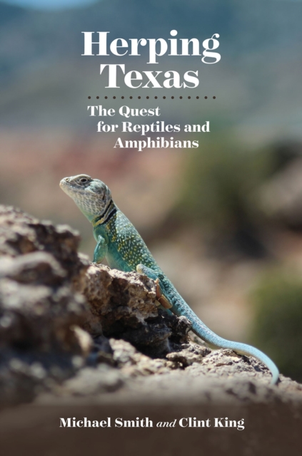 Herping Texas : The Quest for Reptiles and Amphibians, Paperback / softback Book