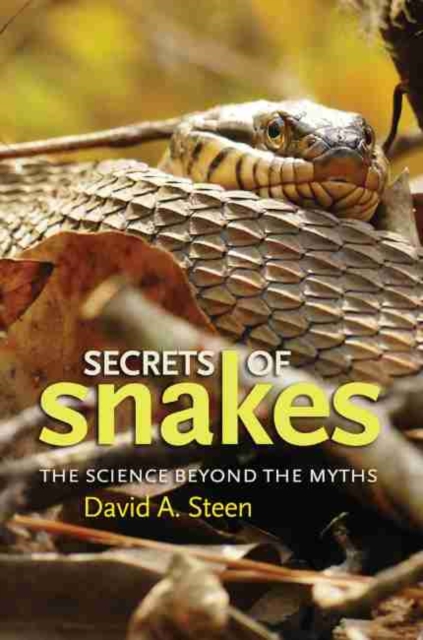Secrets of Snakes : The Science beyond the Myths, Paperback / softback Book