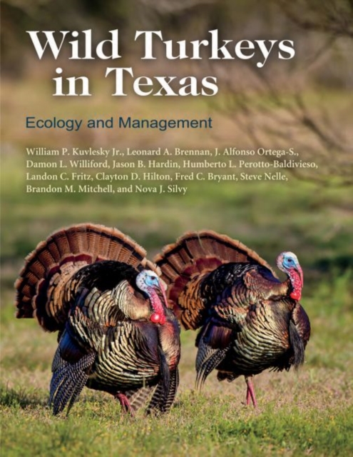 Wild Turkeys in Texas : Ecology and Management, Hardback Book