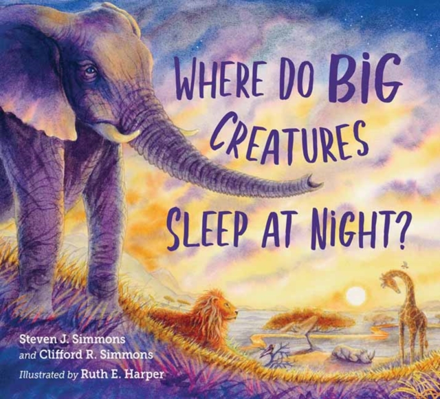 Where Do Big Creatures Sleep at Night?, Hardback Book