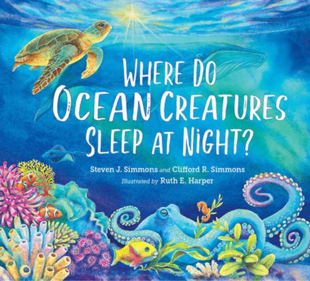 Where Do Ocean Creatures Sleep at Night?, Hardback Book