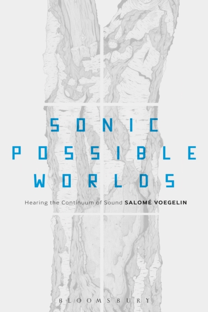 Sonic Possible Worlds : Hearing the Continuum of Sound, PDF eBook