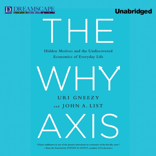 The Why Axis, eAudiobook MP3 eaudioBook