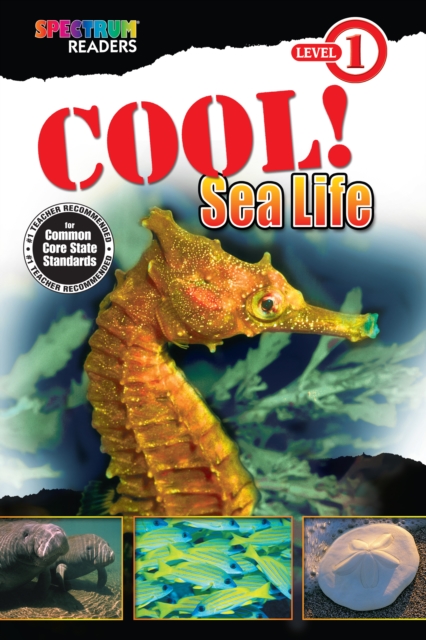 Cool! Sea Life : Level 1, PDF eBook