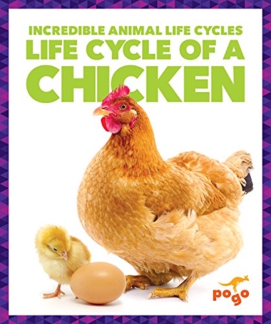 Life Cycle of a Chicken, Hardback Book