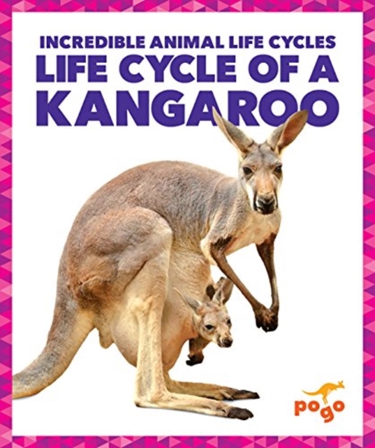 Life Cycle of a Kangaroo, Hardback Book