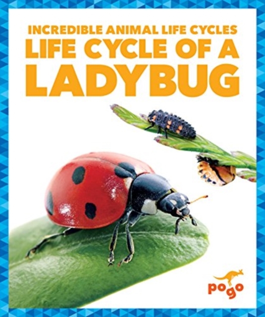 Life Cycle of a Ladybug, Hardback Book