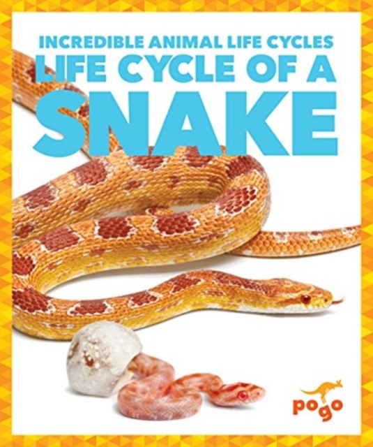 Life Cycle of a Snake, Hardback Book