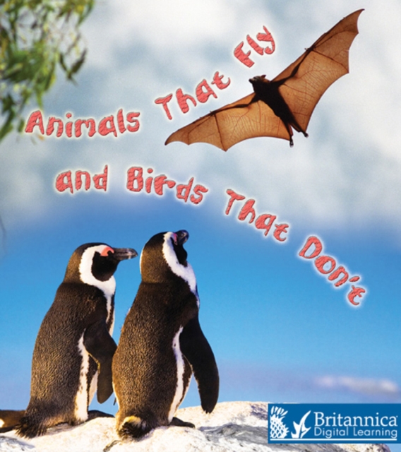 Animals That Fly and Birds That Don't, PDF eBook
