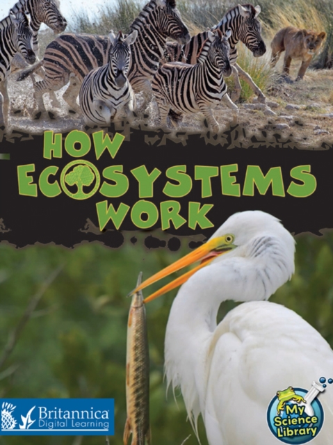 How Ecosystems Work, PDF eBook