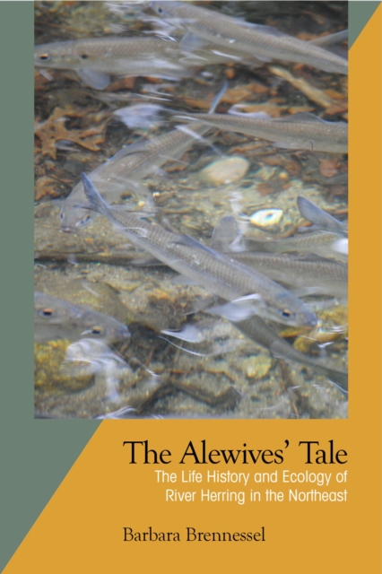 The Alewives Tale : The Life History and Ecology of River Herring in the Northeast, Paperback / softback Book