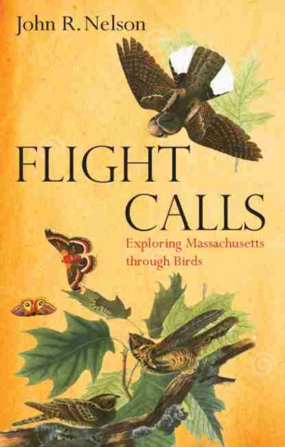Flight Calls : Adventures with Massachusetts Birds, Paperback / softback Book