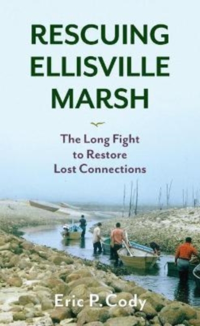 Rescuing Ellisville Marsh : The Long Fight to Restore Lost Connections, Hardback Book