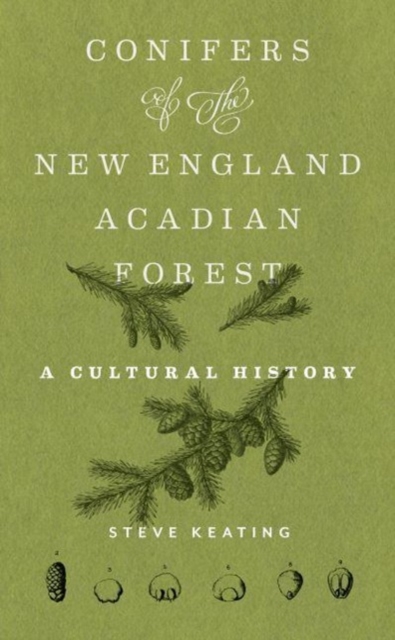 Conifers of the New England-Acadian Forest : A Cultural History, Paperback / softback Book