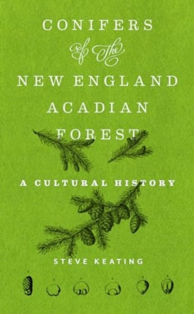 Conifers of the New England–Acadian Forest : A Cultural History, Hardback Book