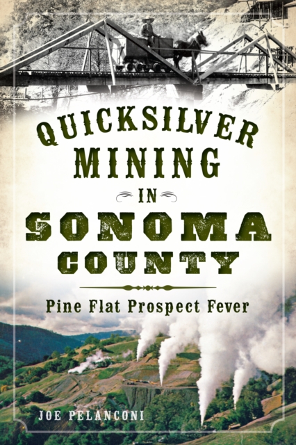 Quicksilver Mining in Sonoma County : Pine Flat Prospect Fever, EPUB eBook