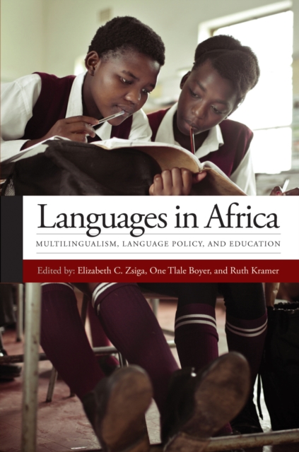 Languages in Africa : Multilingualism, Language Policy, and Education, EPUB eBook