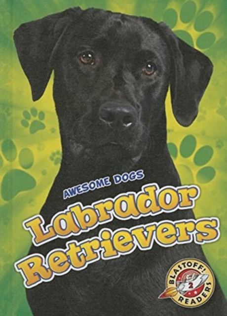 Labrador Retrievers Labrador Retrievers, Hardback Book