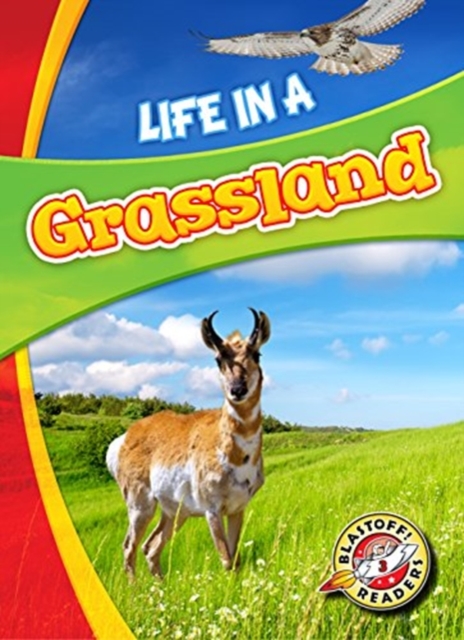 Life in a Grassland, Hardback Book