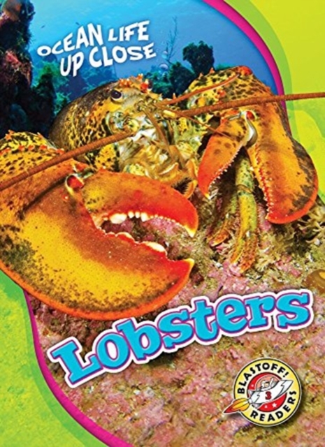 Lobsters, Hardback Book