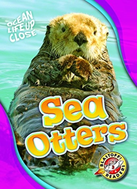 Sea Otters, Hardback Book