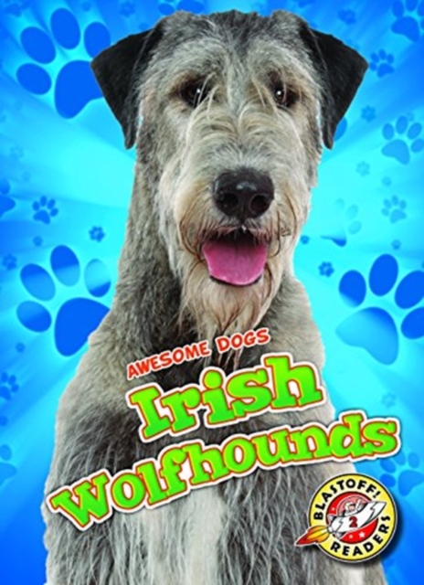Irish Wolfhounds Irish Wolfhounds, Hardback Book