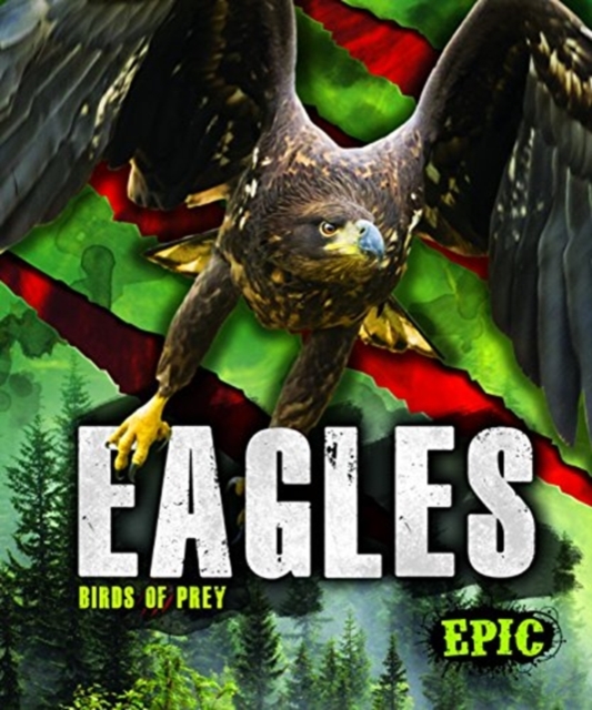 Eagles, Hardback Book