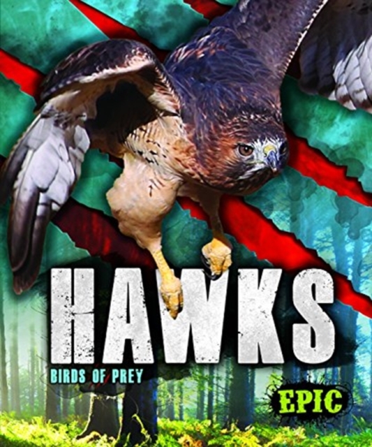 Hawks : Birds of Prey, Hardback Book