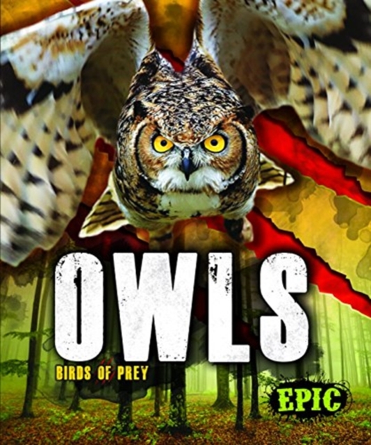 Owls, Hardback Book