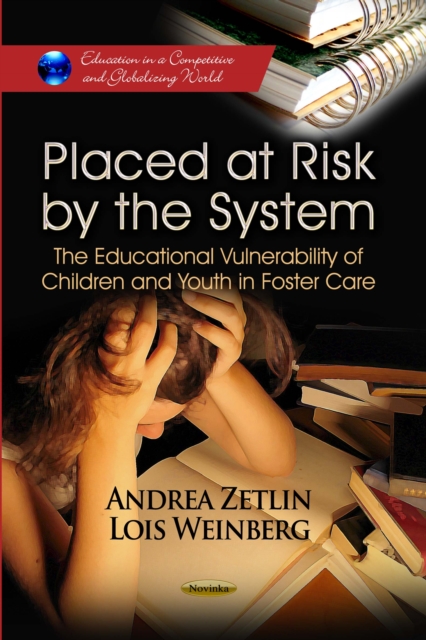 Placed at Risk by the System : The Educational Vulnerability of Children and Youth in Foster Care, PDF eBook